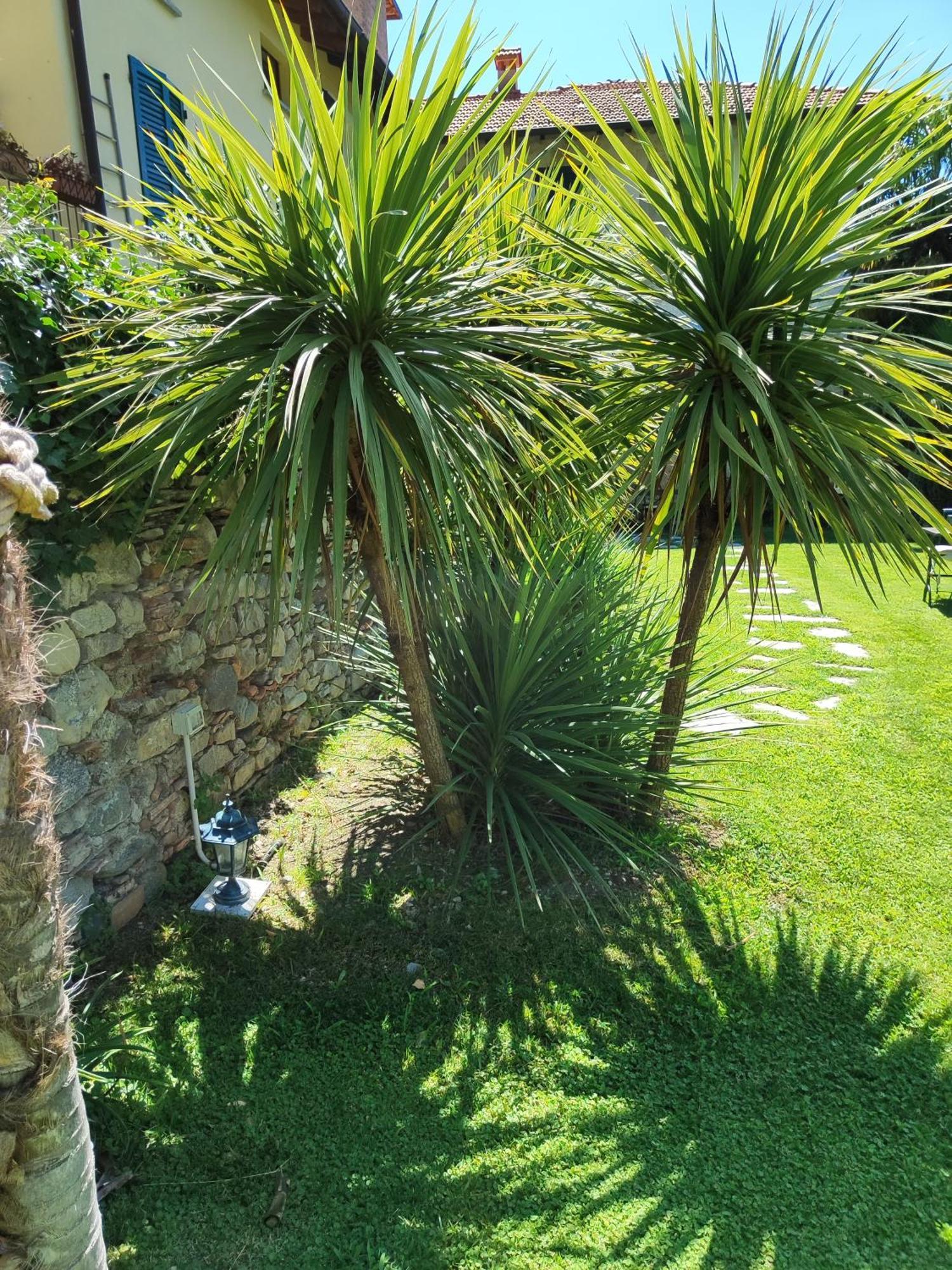 Bed and Breakfast Casa Lumaca Tremezzo Exterior foto